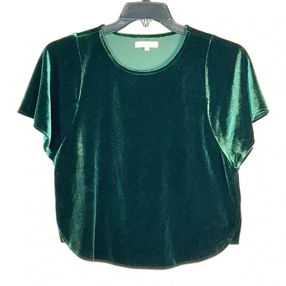 Madewell Size Small Velvet Butterfly Short Sleeves Slightly Cropped Boxy Green - Picture 2 of 10